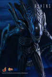 Alien - Alien Warrior 12 Figure - Premium Action Figure