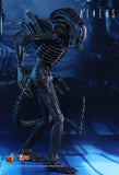 Alien - Alien Warrior 12 Figure - Premium Action Figure