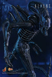 Alien - Alien Warrior 12 Figure - Premium Action Figure