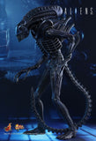 Alien - Alien Warrior 12 Figure - Premium Action Figure