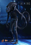 Alien - Alien Warrior 12 Figure - Premium Action Figure