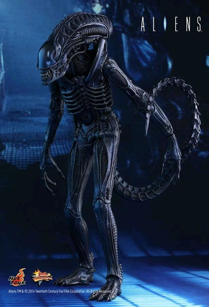 Alien - Alien Warrior 12 Figure - Premium Action Figure