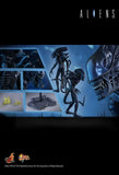Alien - Alien Warrior 12 Figure - Premium Action Figure