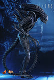 Alien - Alien Warrior 12 Figure - Premium Action Figure