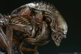 Alien - Alien Warrior Mythos Maquette - Premium Format Statue