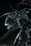 Aliens - Alien Queen Maquette - Premium Format Statue