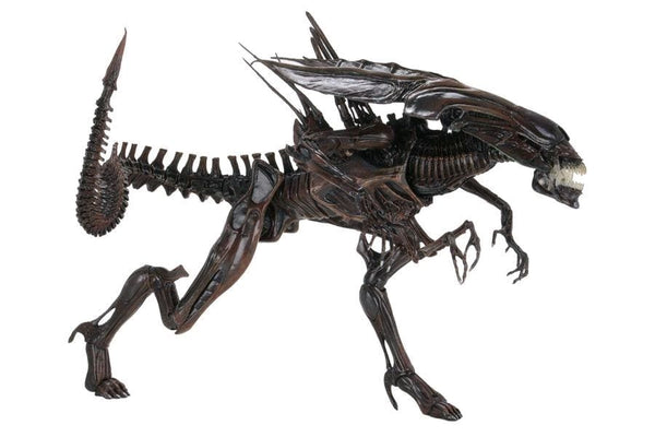 Aliens - Alien Resurrection Queen Deluxe Boxed Action Figure - Action Figure