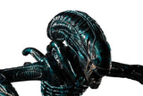 Aliens - Alien Water Attack Statue - Premium Statue