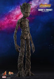 Avengers 3 - Groot & Rocket 12 Figure - Premium Action Figure