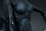 Batman - Catwoman Premium Format 1:4 Scale Statue - Premium Format Statue