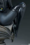 Batman - Catwoman Premium Format 1:4 Scale Statue - Premium Format Statue