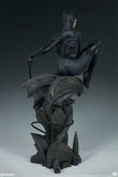 Batman - Catwoman Premium Format 1:4 Scale Statue - Premium Format Statue