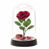 Beauty and the Beast - Enchanted Rose Light - Homewares