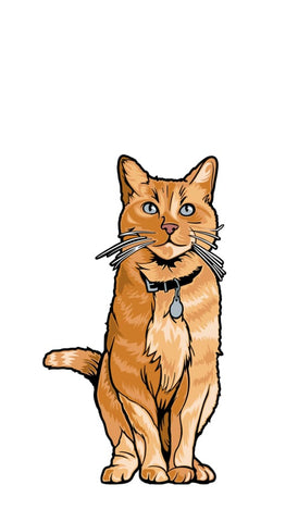 Captain Marvel - Goose FiGPiN Mini - Badges & Pins