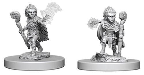 Deep Cuts Pathfinder Male Gnome Druid Unpainted Miniature - Roleplaying Miniature