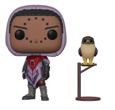 Destiny - Hawthorne w/Hawk Pop! - Pop! Vinyl