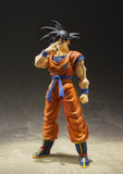 DRAGON BALL - SHF GOKOU A SAIYAN RAISED ON EARTH FIGURE - Vinyl Figure