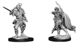 Dungeons and Dragons: Elf Rogue Male - Roleplaying Miniature