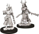 Dungeons & Dragons Nolzurs Marvelous Human Druid Female - Roleplaying Miniature