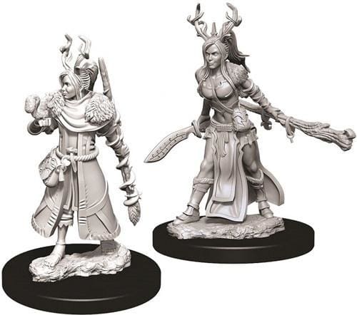 Dungeons & Dragons Nolzurs Marvelous Human Druid Female - Roleplaying Miniature