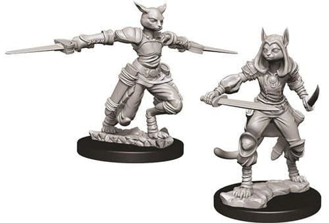 Dungeons & Dragons Nolzurs Marvelous Tabaxi Rogue Female - Roleplaying Miniature