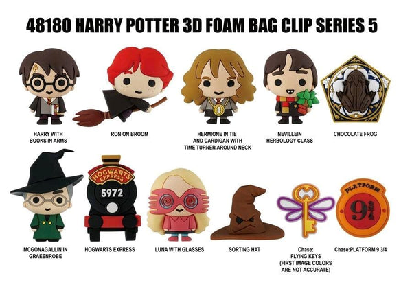 Harry Potter - 3D Figural Keychain Series 05 Blind Bag - Mystery