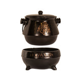Harry Potter - Hogwarts Ceramic Teapot - Homewares