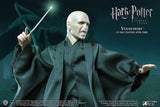 Harry Potter - Lord Voldemort 1:8 Figure - Premium Action Figure