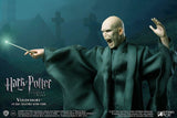 Harry Potter - Lord Voldemort 1:8 Figure - Premium Action Figure