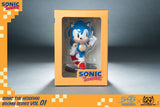 Sonic - Sonic Boom8 Series Statue Vol 1 - Vinyl Figure