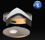 Star Trek: Tng - Communicator Badge Prop Replica - Replica & Dolls
