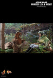 Star Wars - Leia & Wicket Return of the Jedi 1:6 Scale Acton Figure - Premium Action Figure