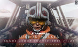 Star Wars - Luke Rogue Group Snowspeeder Pilot 12 - Premium Action Figure